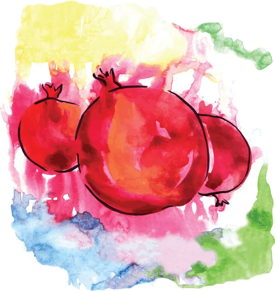 Aquarel granaatappels — Stockvector