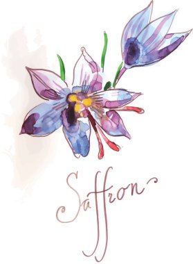 Safran