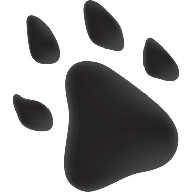 İzleme köpek