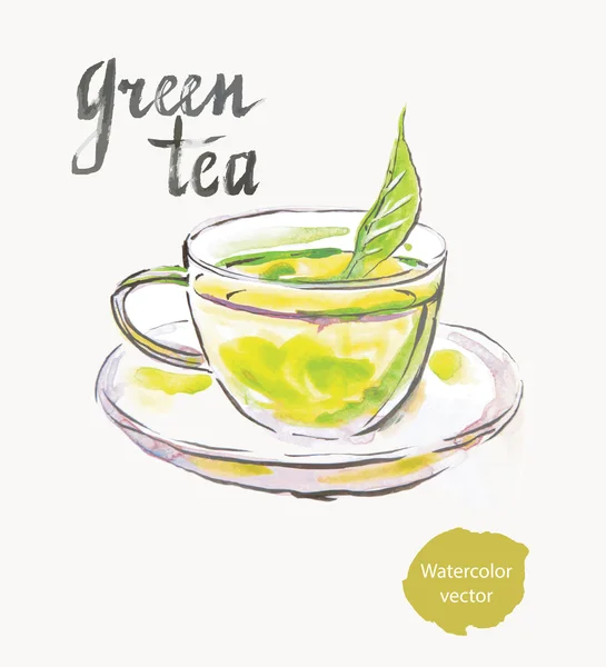 Groene thee — Stockvector