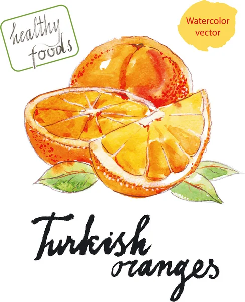 Aquarell Orangen — Stockvektor