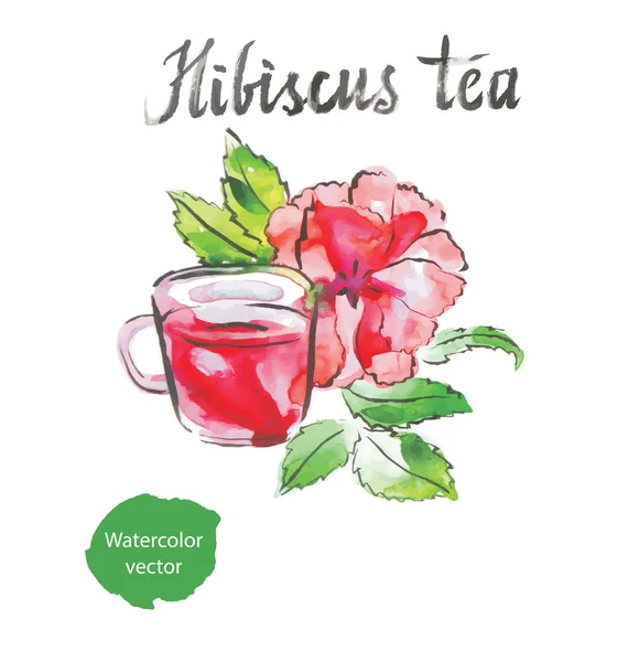 Hibiscus thee — Stockvector