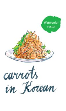 Korece suluboya havuç ile marul, elle çizilmiş - illüstrasyon