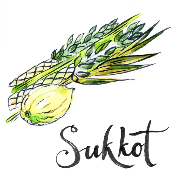 Sulu Boya lulav ve etrog, Sukkot bitkiler — Stok fotoğraf