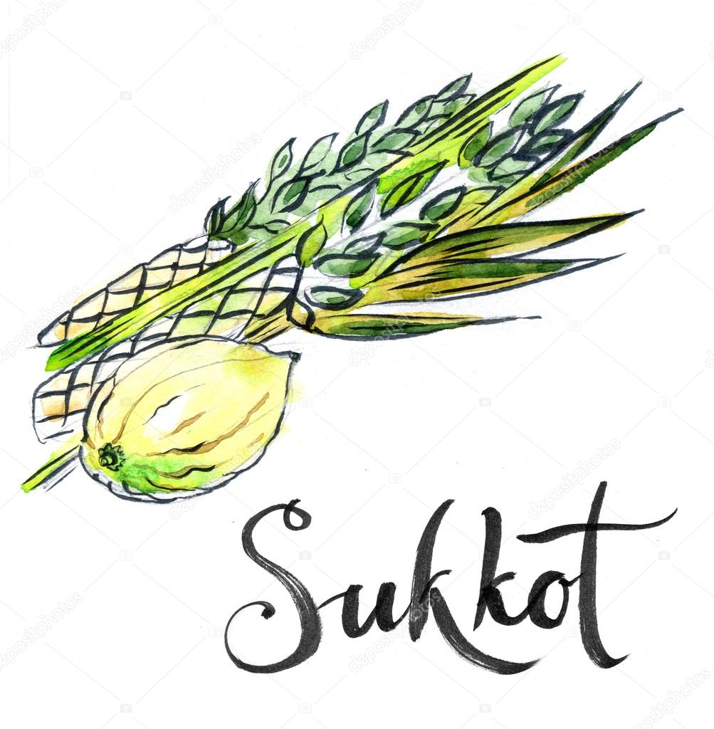 Watercolor lulav and etrog, Sukkot plants