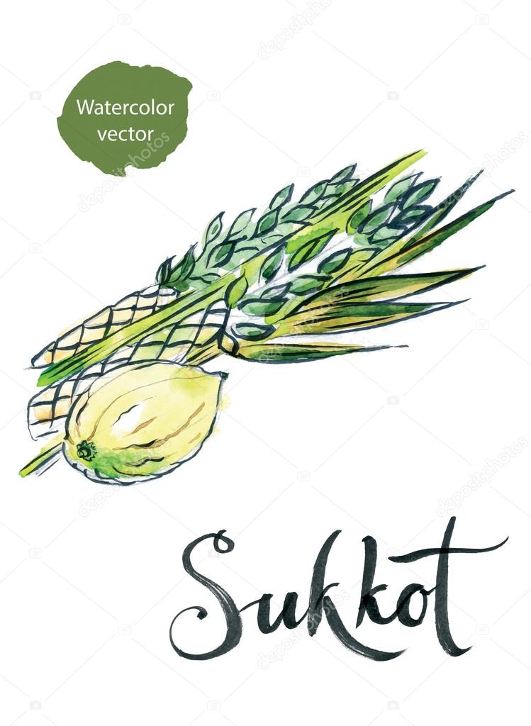Watercolor lulav and etrog, Sukkot plants