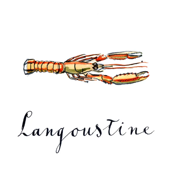 Orange langoustine — Stock Photo, Image