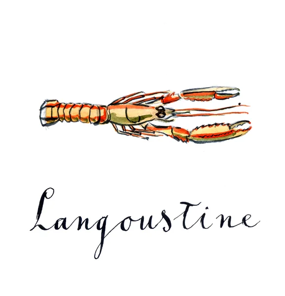 Langoustine arancione — Foto Stock