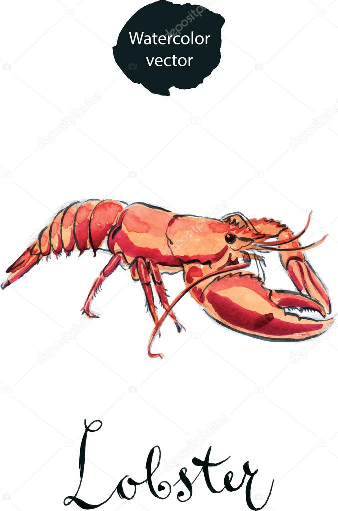 mimino