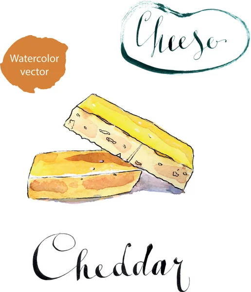Un pedazo de queso cheddar orgánico agudo — Vector de stock