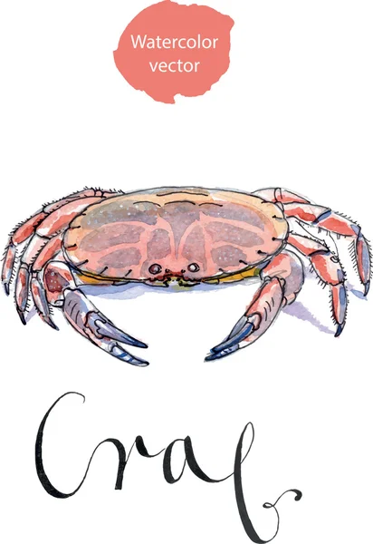 Crabe taillé — Image vectorielle