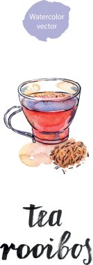 Sağlıklı ve lezzetli geleneksel bitkisel rooibos kırmızı içecek fincan