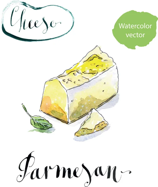 Pedaços de delicioso queijo parmesão orgânico gourmet com manjericão —  Vetores de Stock