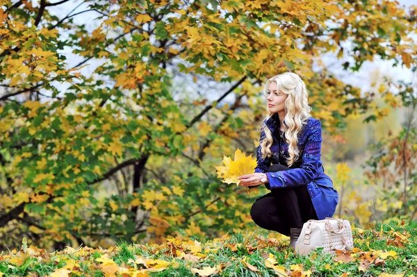 Schöne elegante Frau sitzt mit Blättern in einem Park im Herbst — Stockfoto