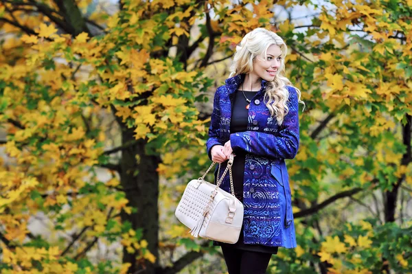 Retrato de una mujer sonriente de otoño sobre el fondo de las hojas — Foto de Stock