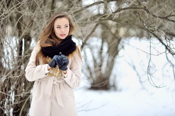 Attrayant jeune femme en hiver en plein air — Photo