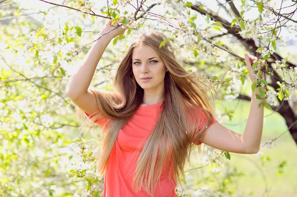 Portrait of beautiful woman in blooming tree in spring — Stock Photo, Image