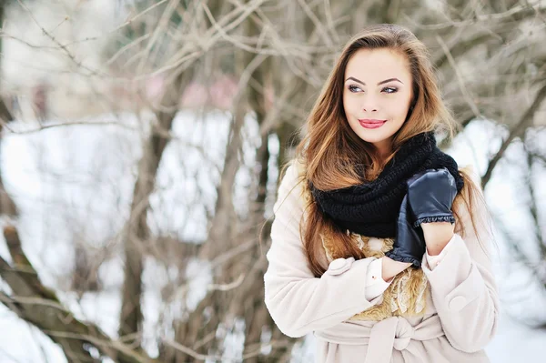 Mujer bella en el paisaje invernal. Copiar espacio — Foto de Stock