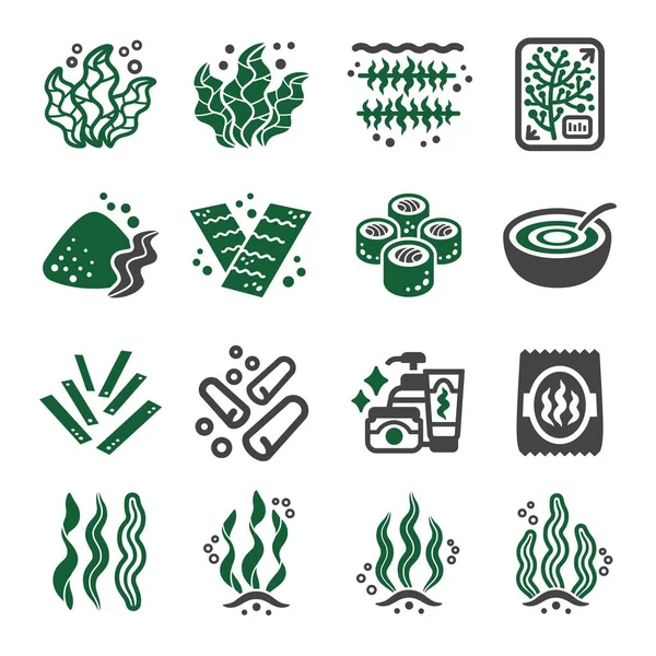 Set Icone Alghe Marine Vettore Illustrazione — Vettoriale Stock