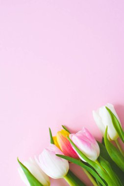 Pembe arka planda bir buket lale. Minimum çiçek düzlüğü, üst manzara. Sevgililer Günü arkaplanı.