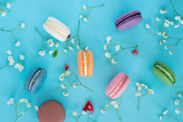 Macarons français colorés ou macarons sur fond floral pastel. — Photo