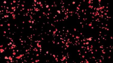 Düşen yaprakları gül 3d animasyon alfa kanalı ile