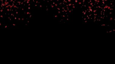 Düşen yaprakları gül 3d animasyon alfa kanalı ile