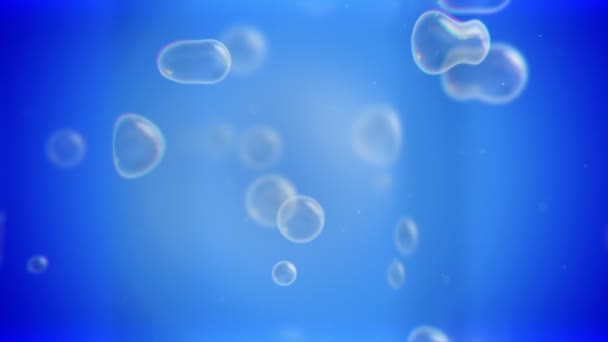 Burbujas flotando encima de la animación sobre fondo azul — Vídeo de stock