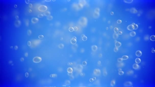 Пузыри, плавающие в анимации на голубом — стоковое видео