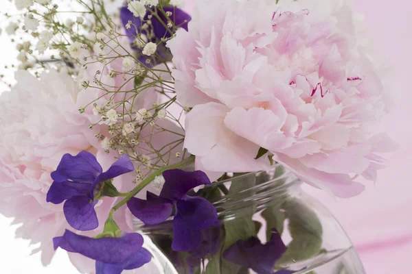 Fiori di peonia rosa — Foto Stock