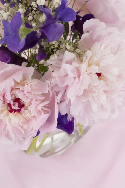 Flores de peonía rosa — Foto de Stock