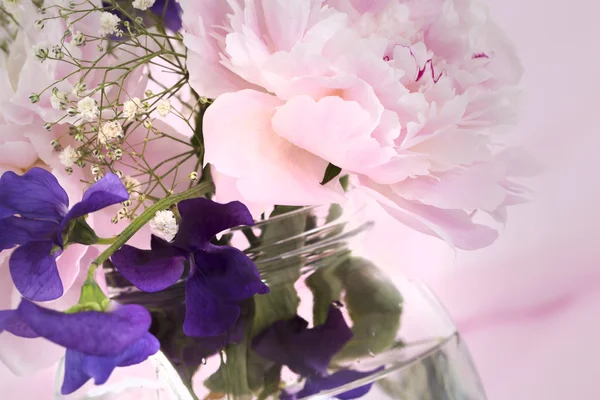 Flores de peonía rosa — Foto de Stock