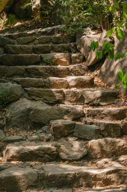 Güneşin altındaki bir parkta taş merdivenler.