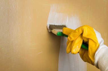 Sarı eldivenli bir el duvarı beyaz bir fırçayla boyar..