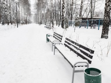 Şehir parkına kar yağdı. Ağaçlar ve yollar karla kaplandı..