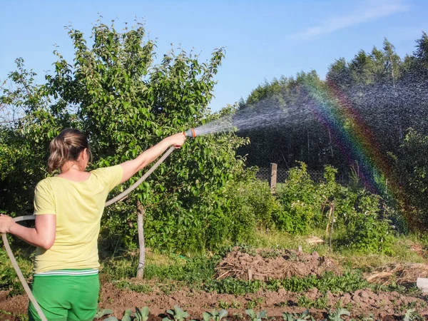 Una Mujer Está Lavando Jardín Arco Iris Formado Aerosol Sobre Imagen De Stock