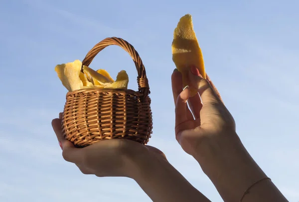 空に立ち向かう少女の手の中にあるウィッカーバスケットの中でマンゴーを干した ストック画像