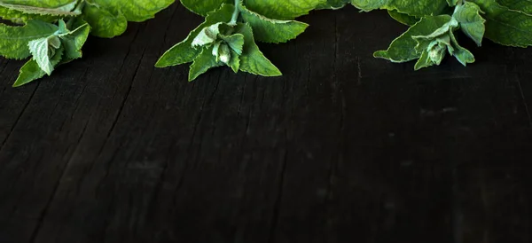 Grüne Minzblätter Auf Schwarzem Holzhintergrund — Stockfoto
