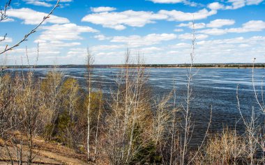 İlkbaharda, Volga kıyısında yapraklarını açan ağaçlar..