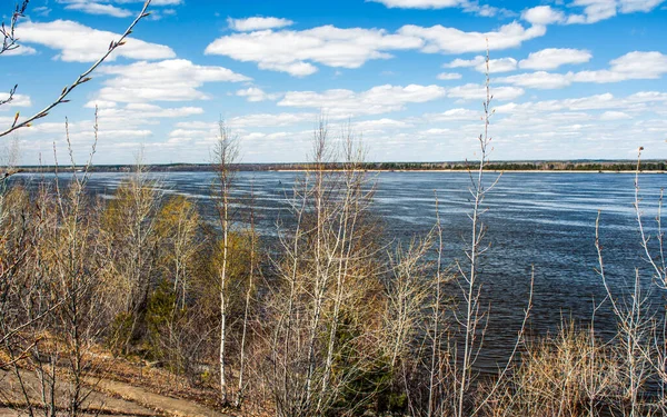 Arbres Qui Ouvrent Leurs Feuilles Printemps Sur Rive Volga — Photo