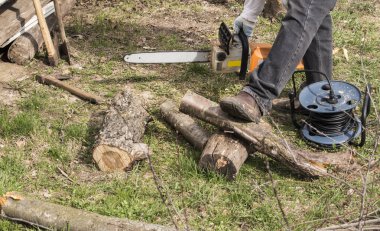 Elektrikli testereli bir adam bahçede yakacak odun için bir ağaç kesiyor..