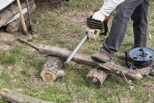 A man with an electric saw saws a tree for firewood in the garden.