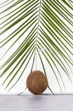 One whole round coconut on a green palm leaf background.