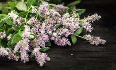Çiçek açan nane, siyah bir ahşap masada yatar..