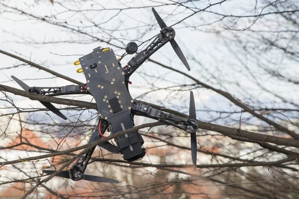 Drone quadcopter se estrelló en el árbol en el parque de la ciudad — Foto de Stock