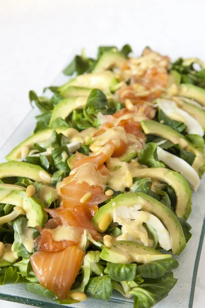 Gros plan de salade de saumon saine avec avocat et légumes biologiques — Photo