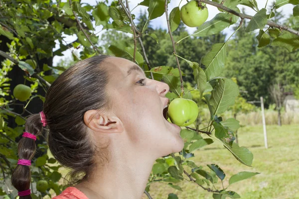 Pretty young woman eating organic apples from an apple tree — Stock Photo, Image