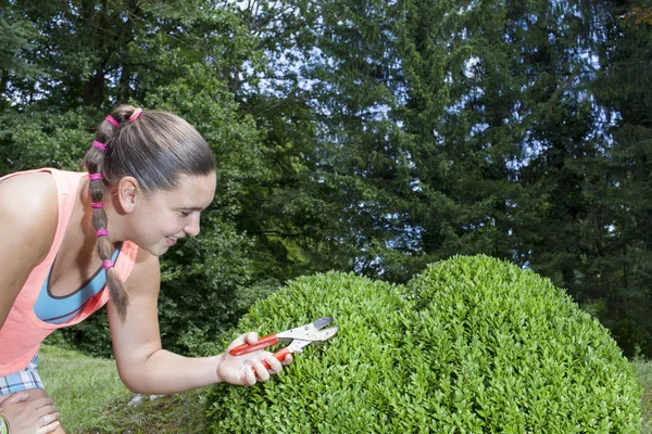 Mladá žena, řezání a prořezávání zimostráz buxus sempervirens — Stock fotografie