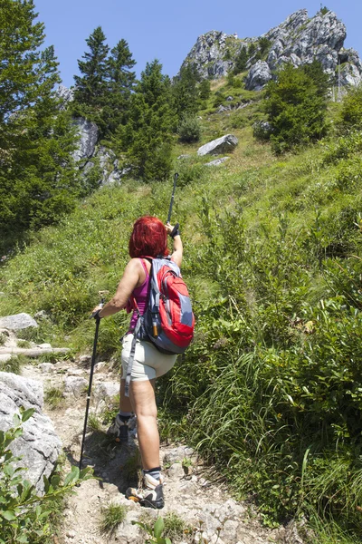 Kvinnan hiker hög i den Berg pekar riktningen med henne gående pole — Stockfoto