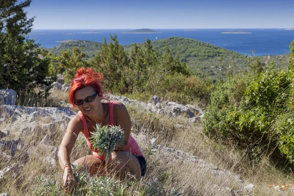 Piuttosto donna di mezza età raccogliendo erbe — Foto Stock